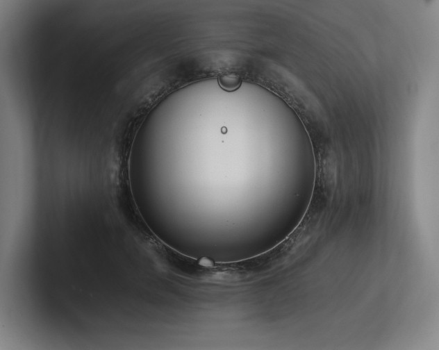 X0000102760750200808181109