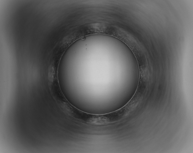 X0000102760752200808181109