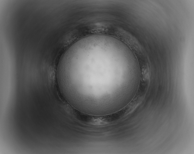 X0000102760753200808181109