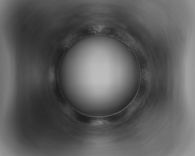 X0000102760754200808181109