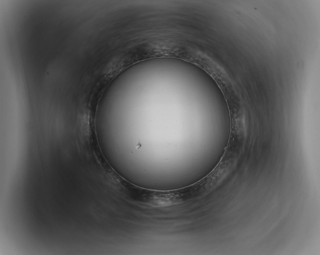 X0000102760757200808181109