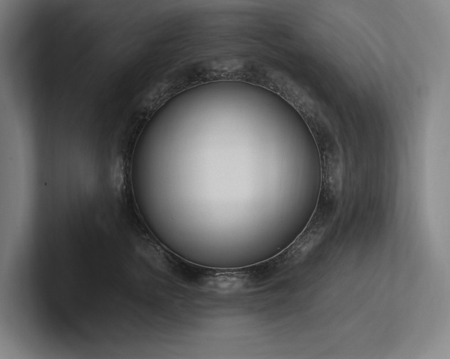 X0000102760758200808181109