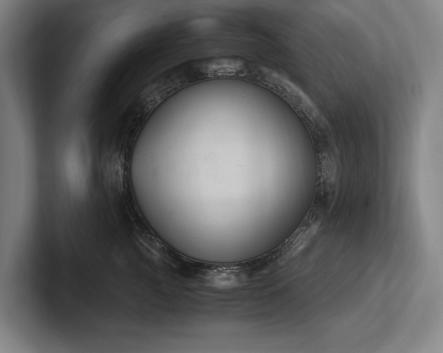 X0000102760761200808181109