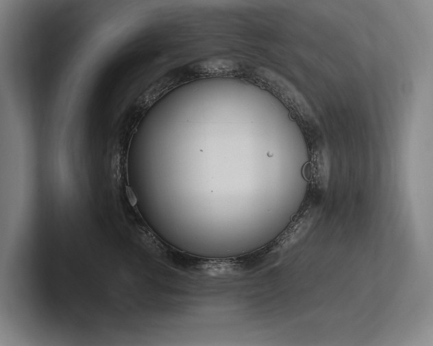 X0000102760762200808181109