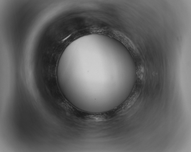 X0000102760763200808181109