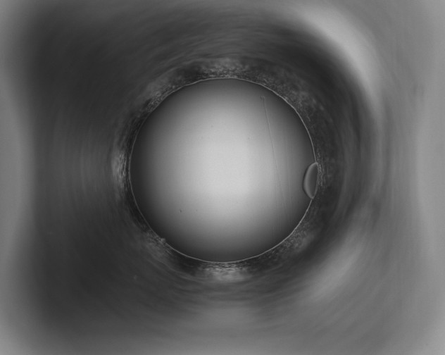 X0000102760767200808181109