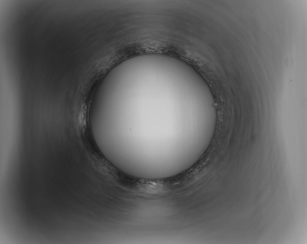 X0000102760768200808181109