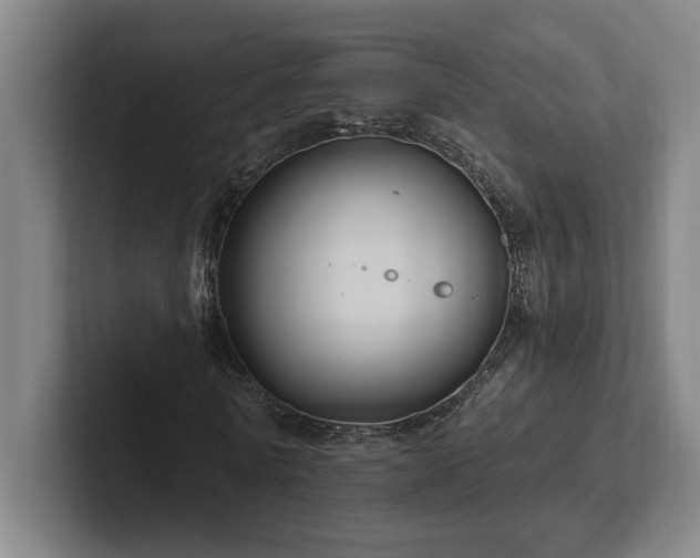 X0000102760770200808181108