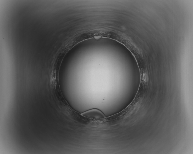 X0000102760771200808181108
