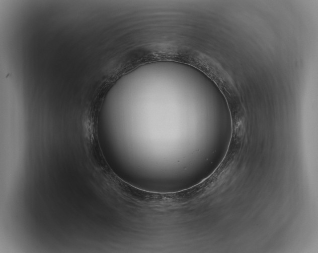 X0000102760772200808181108