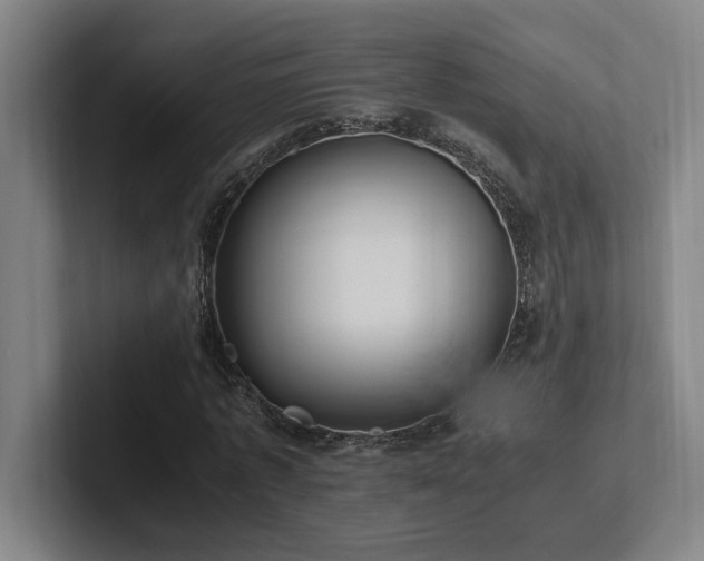 X0000102760773200808181108