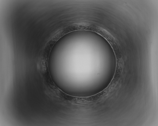 X0000102760774200808181108