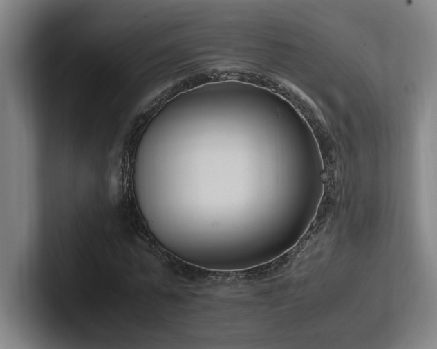 X0000102760775200808181108
