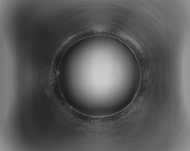 X0000102760776200808181108