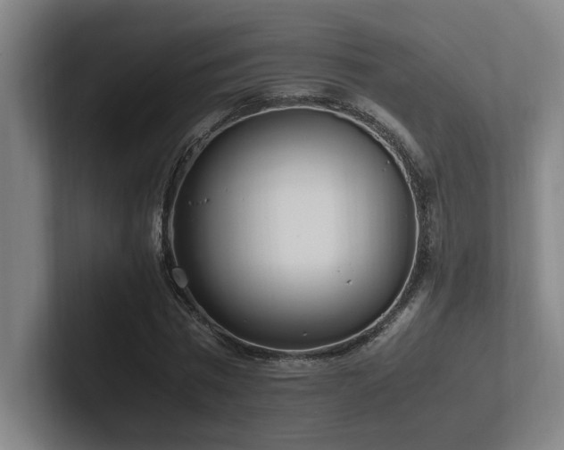X0000102760777200808181108