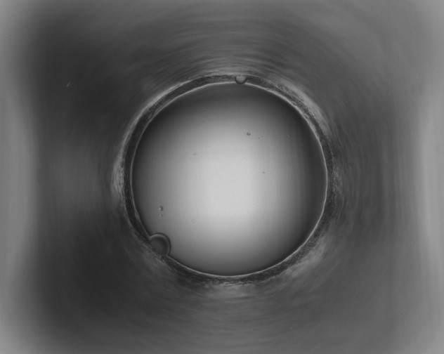 X0000102760779200808181108