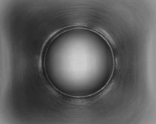 X0000102760780200808181108