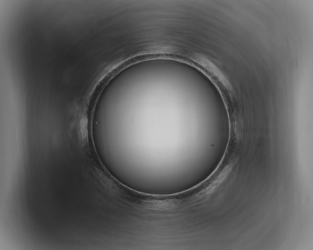 X0000102760781200808181108