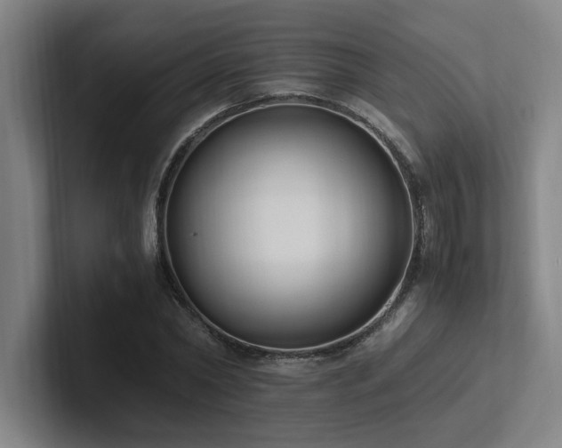 X0000102760782200808181108