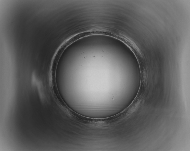 X0000102760784200808181108