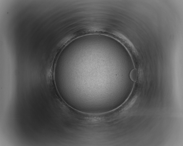 X0000102760785200808181108