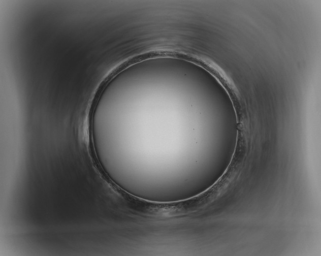 X0000102760791200808181108