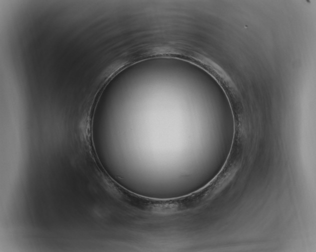 X0000102760793200808181108
