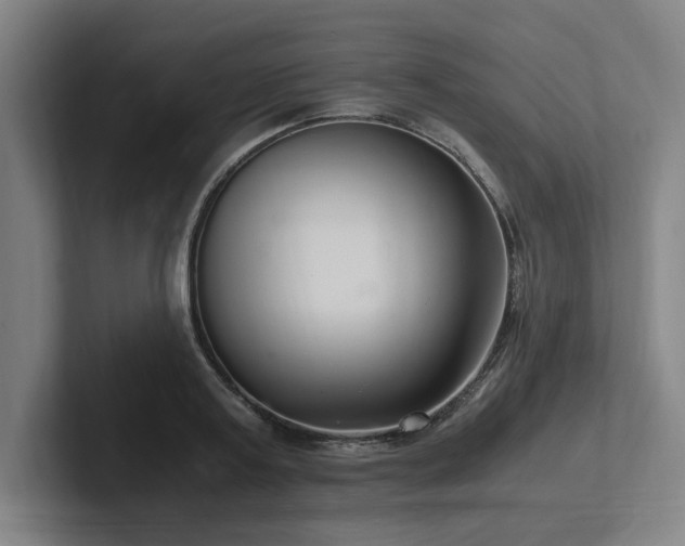 X0000102760795200808181108