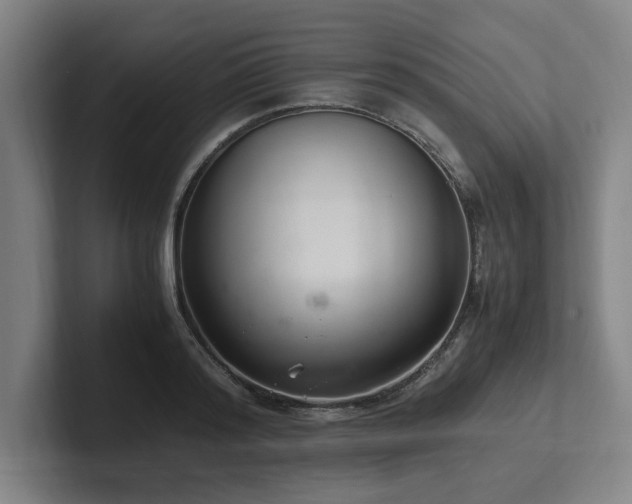 X0000102760796200808181108