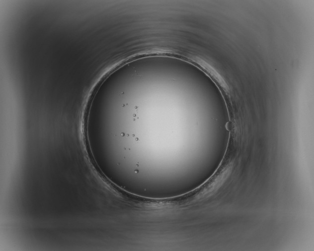 X0000102760797200808181108