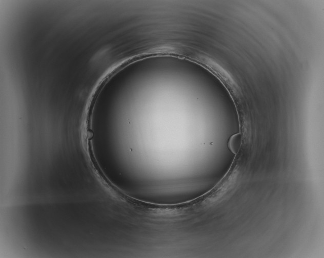 X0000102760800200808181108