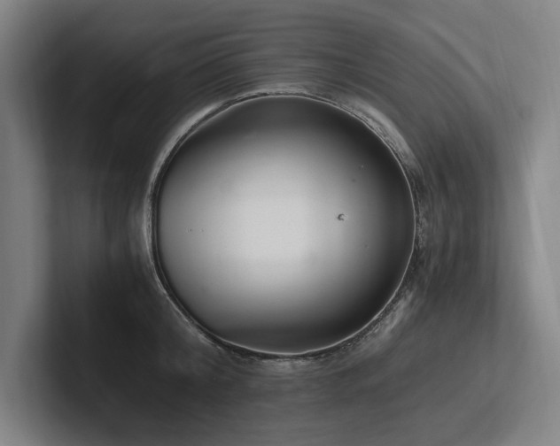 X0000102760804200808181108