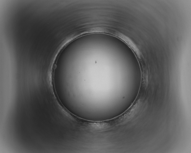 X0000102760805200808181108
