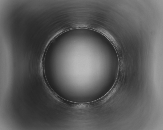 X0000102760806200808181108