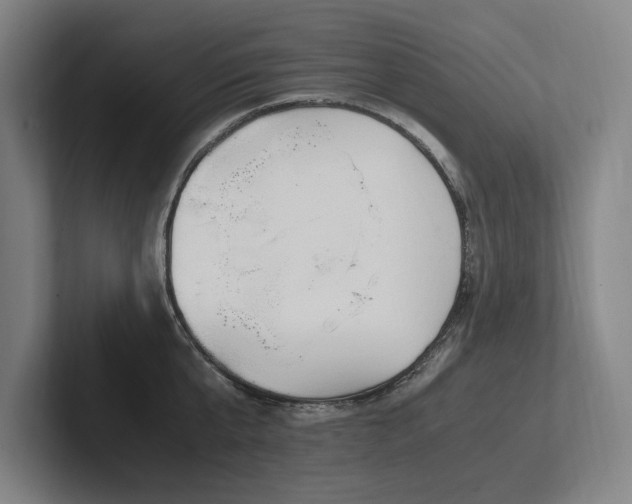 X0000102760807200808181108