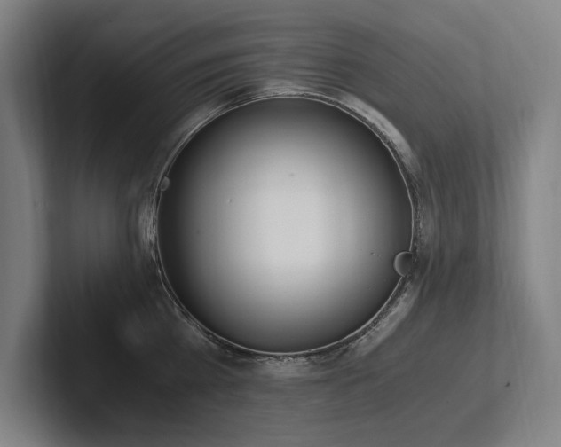 X0000102760809200808181108