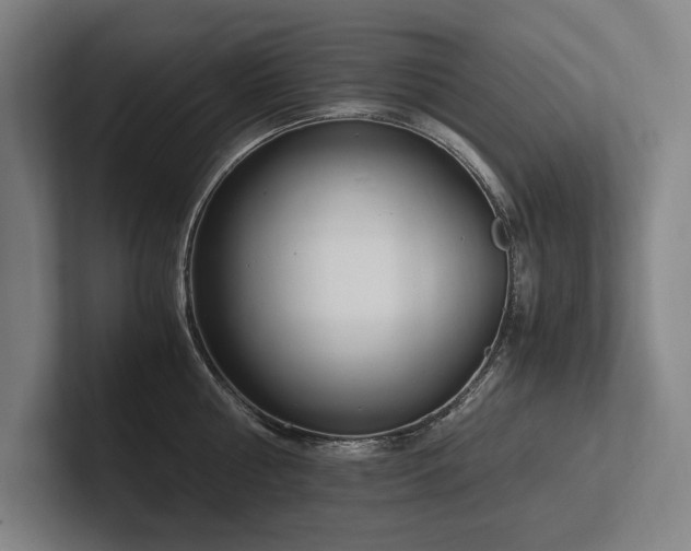 X0000102760810200808181108