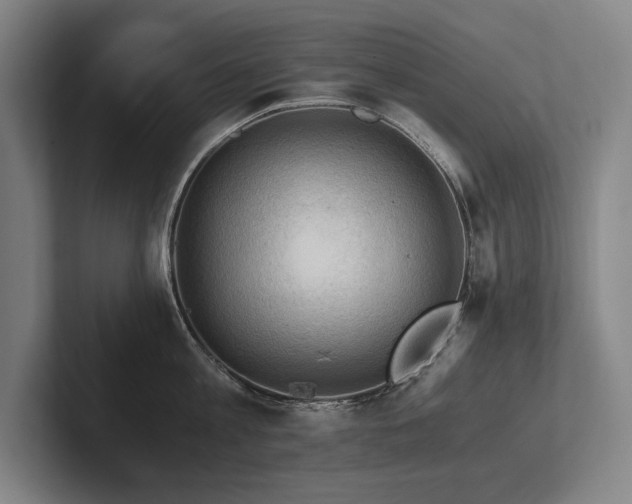 X0000102760813200808181107