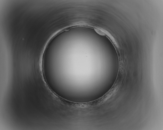 X0000102760815200808181107
