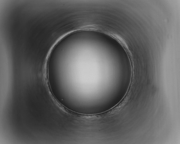 X0000102760816200808181107