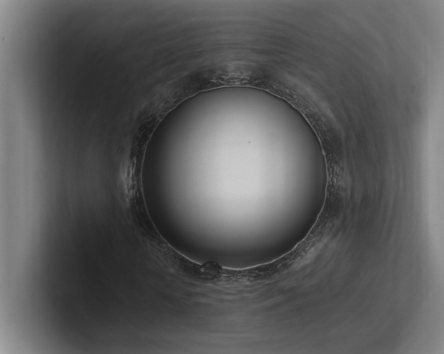 X0000102760818200808181107