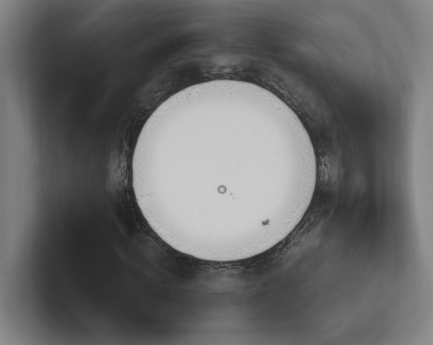 X0000102760820200808181107
