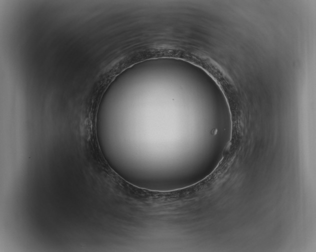 X0000102760821200808181107