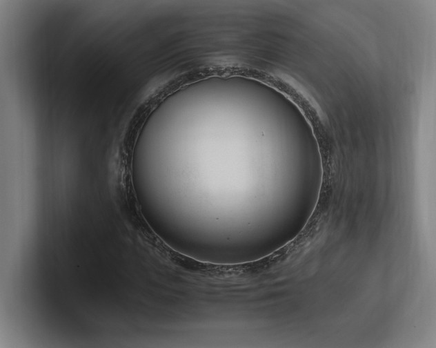 X0000102760823200808181107