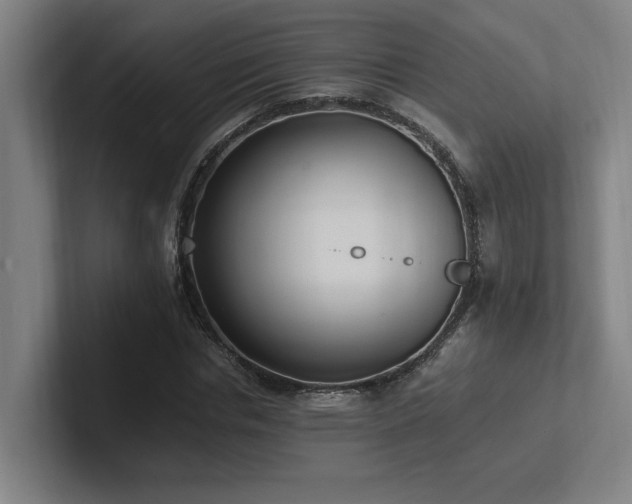X0000102760826200808181107