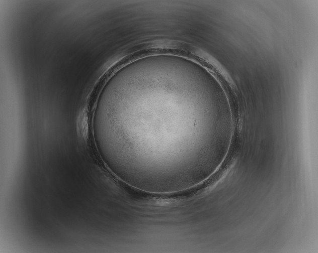 X0000102760829200808181107