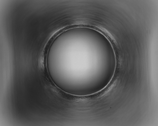 X0000102760830200808181107