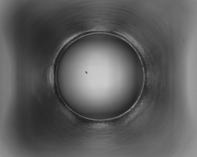 X0000102760838200808181107