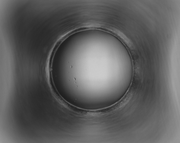 X0000102760840200808181107