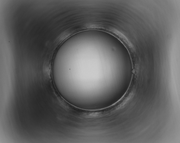 X0000102760841200808181107